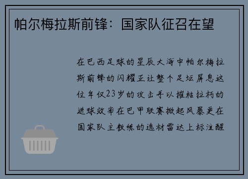 帕尔梅拉斯前锋：国家队征召在望
